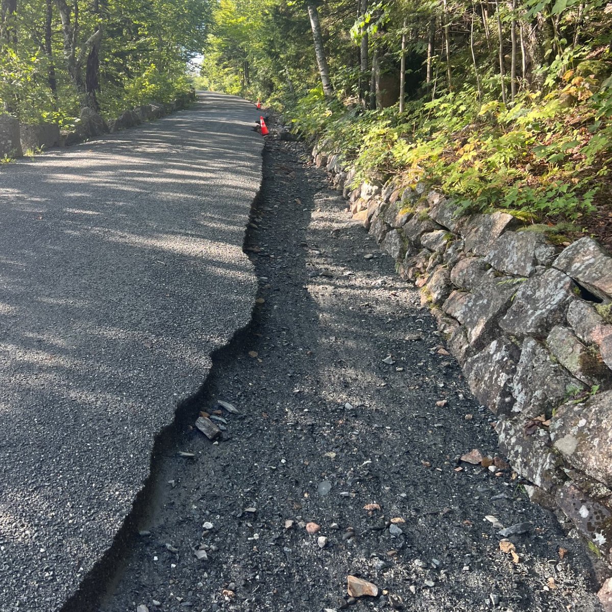 Heavy rains this week led to damage, washouts, and uneven terrain that could be hazardous for hikers and bikers on Acadia's historic carriage roads. Watch for loose gravel and coned-off areas. No closures at this time. Updates at go.nps.gov/AcadiaAlerts