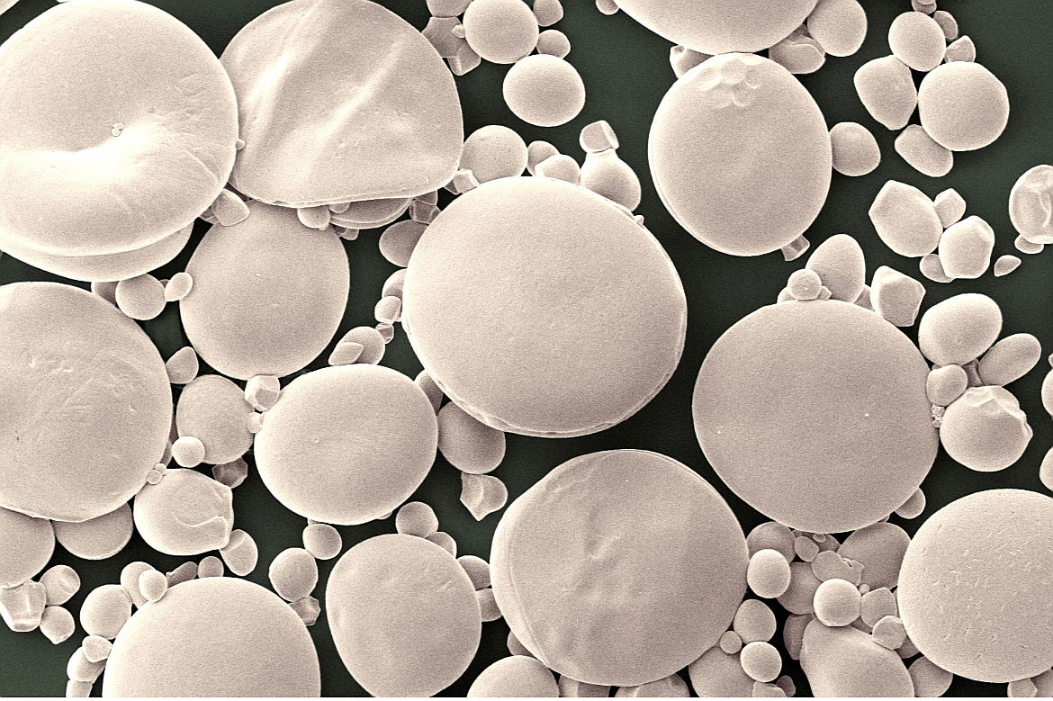 NEWS - Starch discovery reaps benefits for brewing, baking and milling industries

Research has brought clarity to the longstanding question of how starch granules form in the seeds of Triticeae crops – wheat, barley, and rye

okt.to/14giJ2

<a href="/NorwichResearch/">Norwich Research Park</a> <a href="/BBSRC/">Biotechnology and Biological Sciences Research</a>