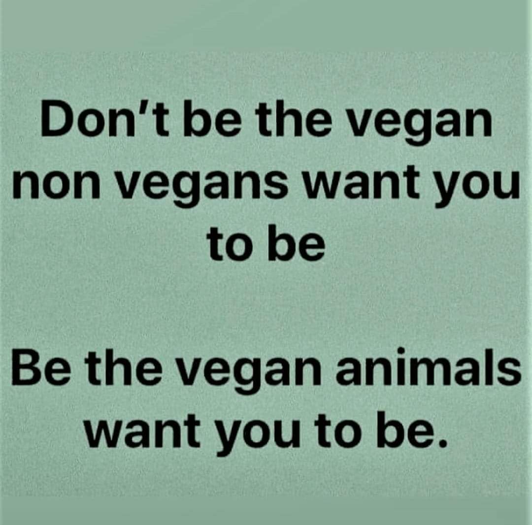 ImKhan70's tweet photo. Whatever shit you get on social media for being vegan - and you will get a fuck ton of shit - just remember: https://t.co/SOlgAcjYn6