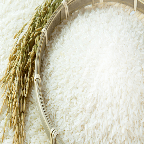 CoKunal48993's tweet photo. Rice is the seed of the grass species Oryza sativa or, less commonly, O. glaberrima. The name wild rice is usually used for species of the genera Zizania and Porteresia, both wild and domesticated, although the term may also be used for primitive or uncultivated varieties ofOryza https://t.co/rxd1MIiFjd