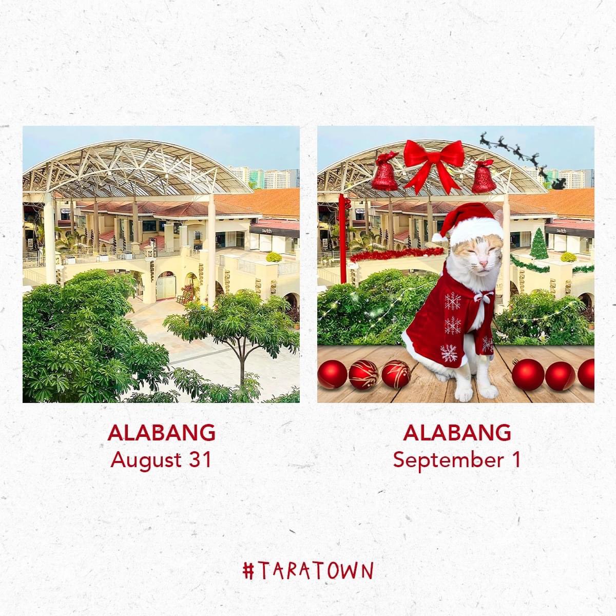 AlabangTownCntr's tweet photo. What, your ✨Christmas Season✨ isn't 115 days long? Santa is literally in the Activity Center at this very moment!
Let's hope Tala and the other Cats Around Town PH won't hold the ornaments hostage again this year 🫠 #TaraTown https://t.co/f60FEKKvBz
