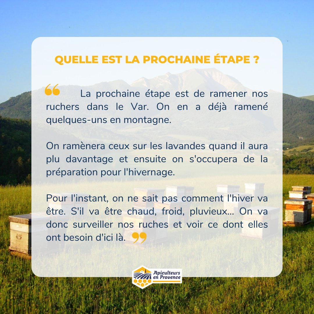 Apiculteurs en Provence tweet media