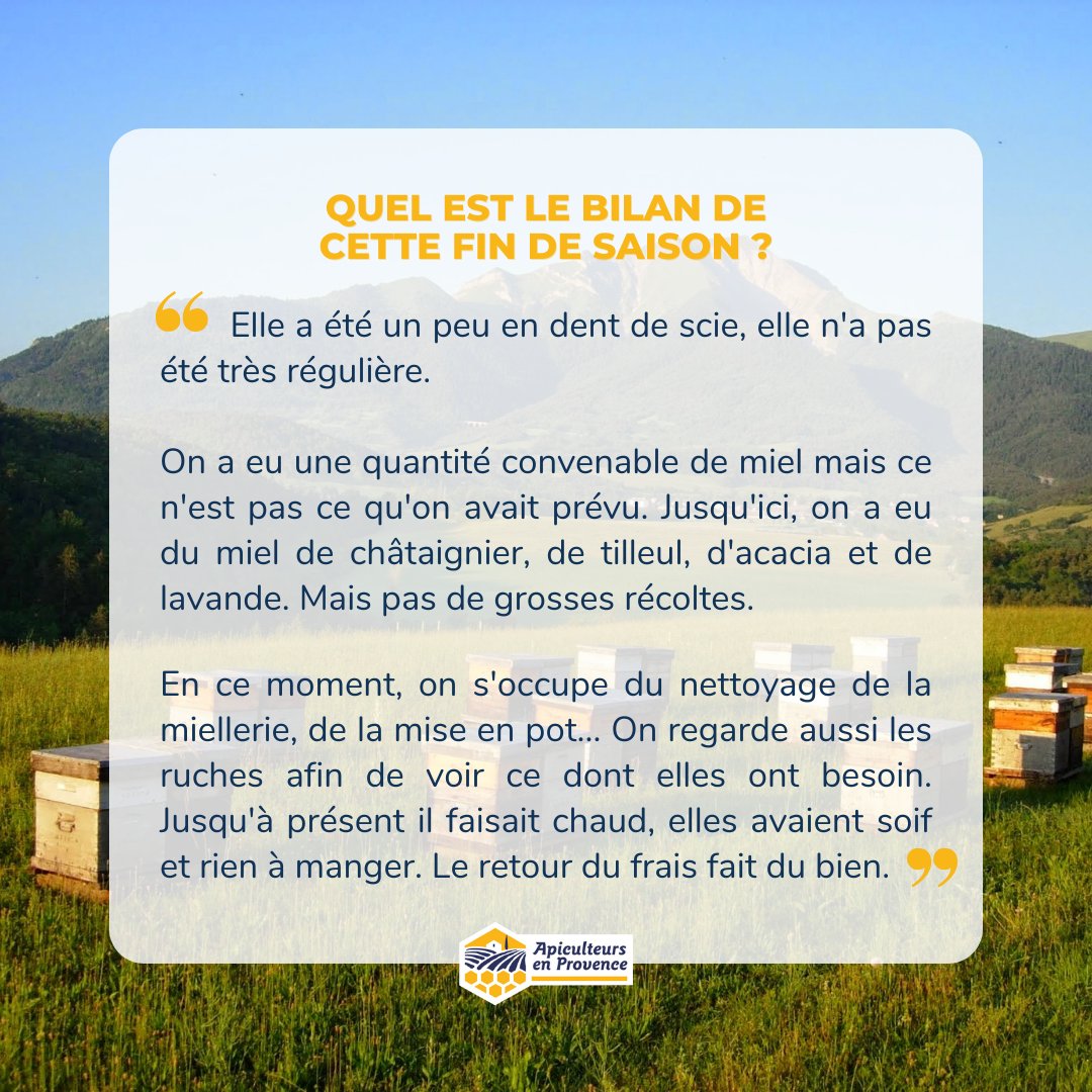 Apiculteurs en Provence tweet media