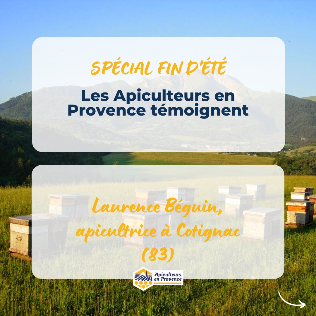 Apiculteurs en Provence tweet media