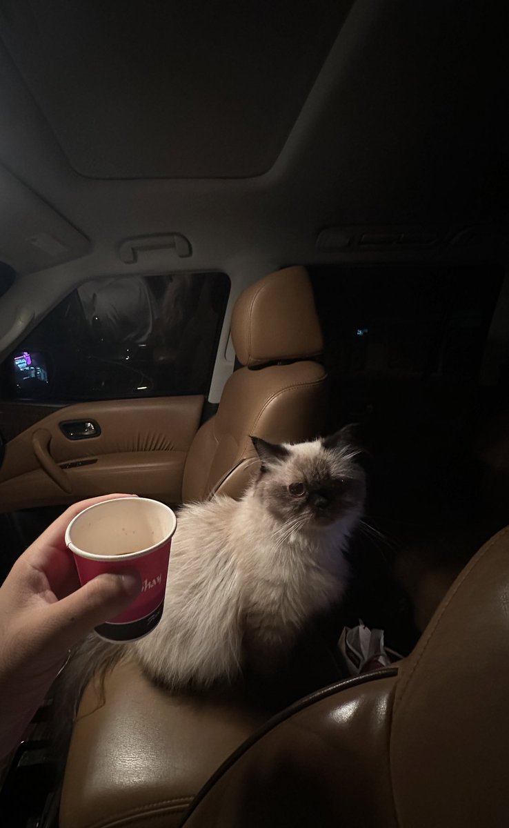 𝐇𝐚𝐦𝐚𝐝 🌕 tweet media