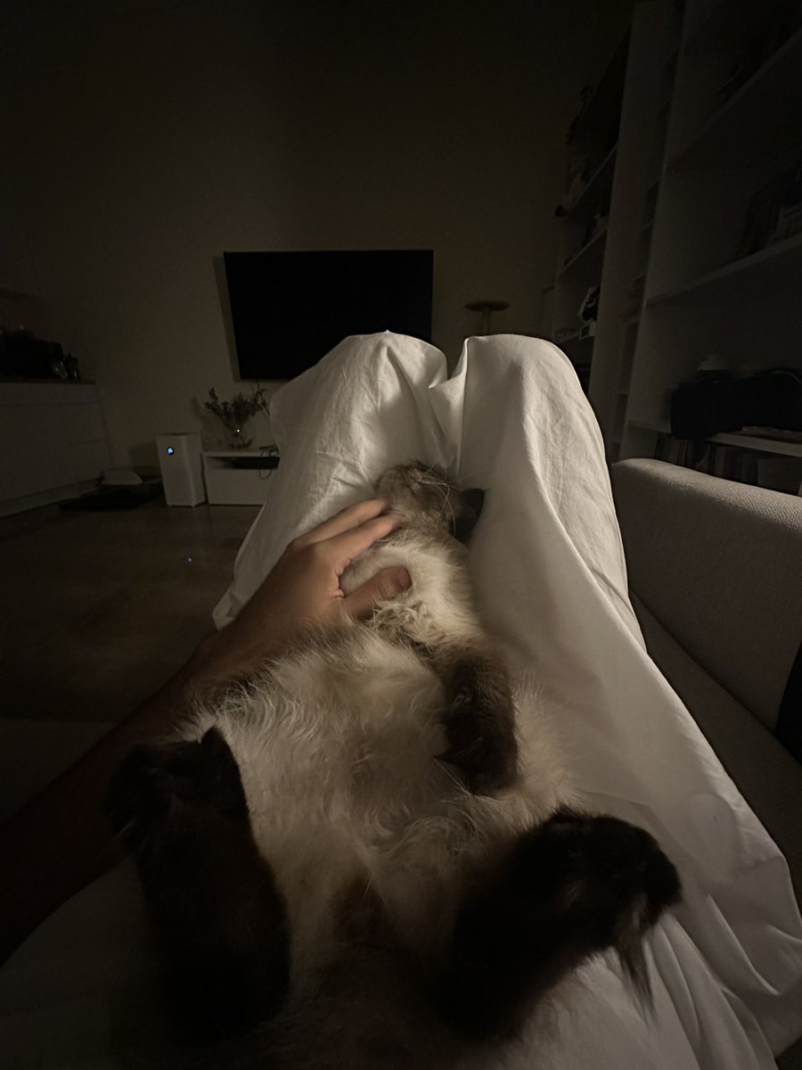 𝐇𝐚𝐦𝐚𝐝 🌕 tweet media