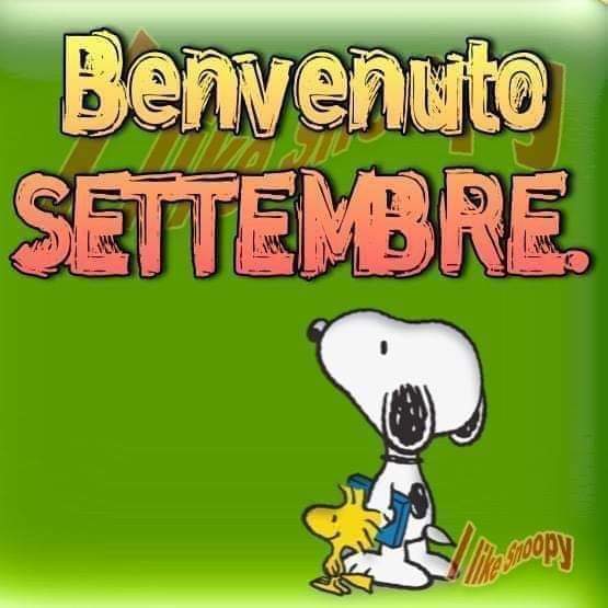 monydur's tweet photo. @RiccardoCeron @olivati @BrunoMaggi @Davidbuoncry @maurogab1 @pierpi13 @AndreaCilento @giosparver @pierfrosini @PIERPAOLOMONNI @BDaigo @SIPARISipari @RitaSofiale https://t.co/iOBN7kL48M