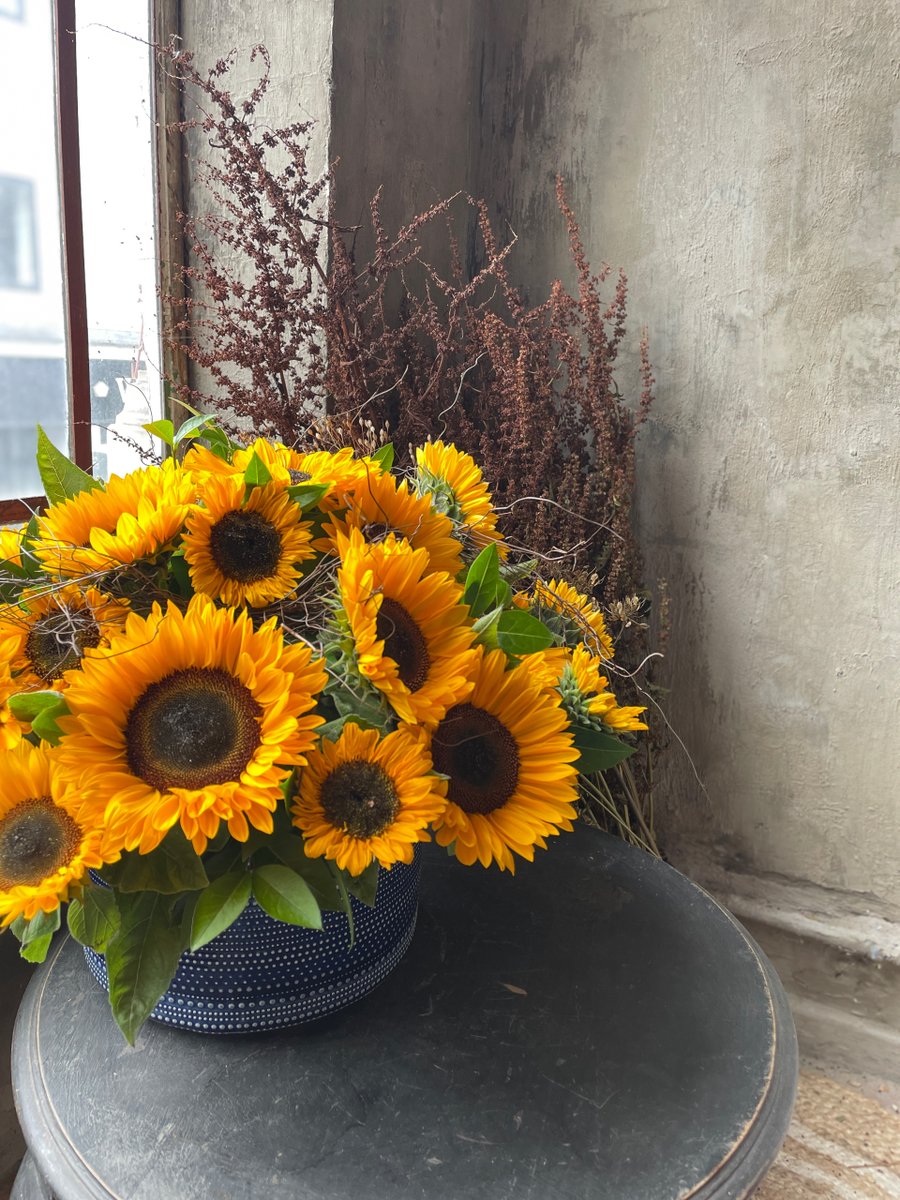 Vinetta Flower Gallery tweet media