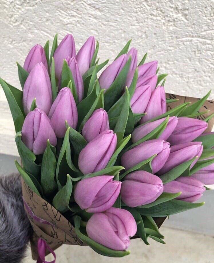 SelectOutfit's tweet photo. purple tulips https://t.co/AJnP6f8Ych