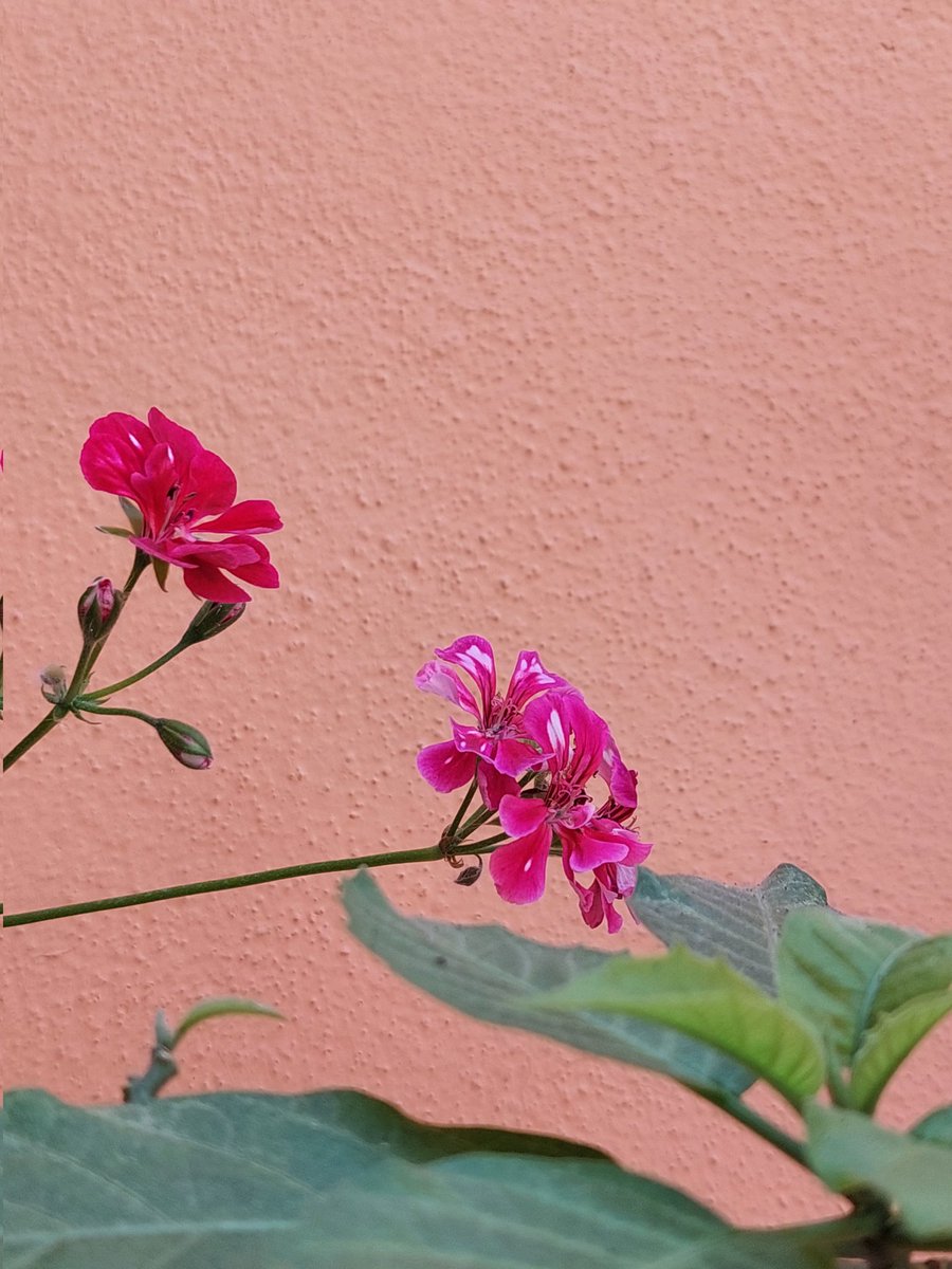 ureeebaba's tweet image. #JummahMubarak #staybless