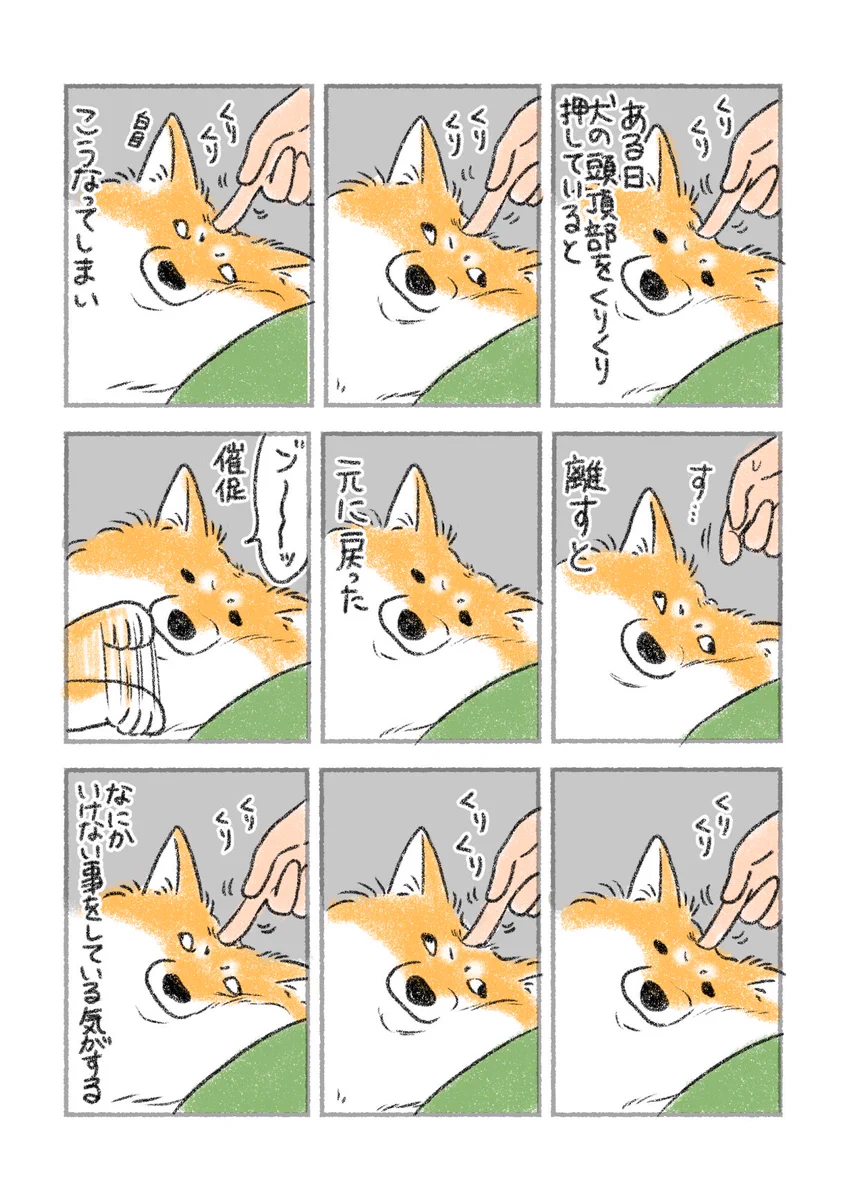 memeさま専用ページ F47eFemb0AAX4DR?format=webp&