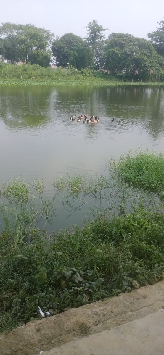 ऐसी खूबसूरती गांव में ही देखने को मिलती है