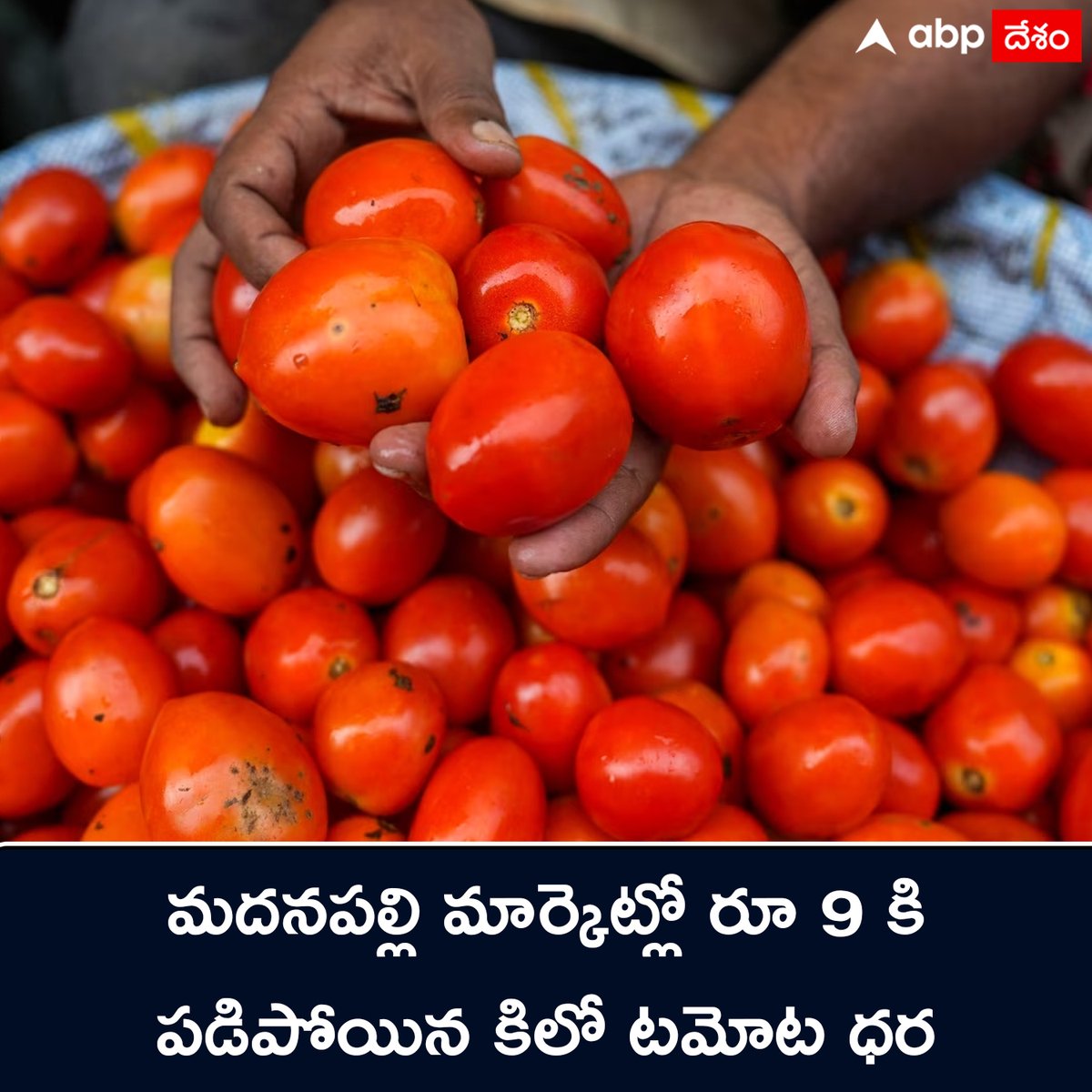 రైతులకు కన్నీళ్లు పెట్టిస్తున్న టమాట ధరలు 
#Tomatoes #Madanapalle #TomatoPrice