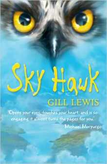 holycrosschorl's tweet photo. Calling all new Year 7s: make sure you bring in your copy of Sky Hawk with you when you join us at Holy Cross. We can't wait to meet you and discuss the bookย ๐.ย #WelcomeToHolyCross https://t.co/V2TdtXPMb0