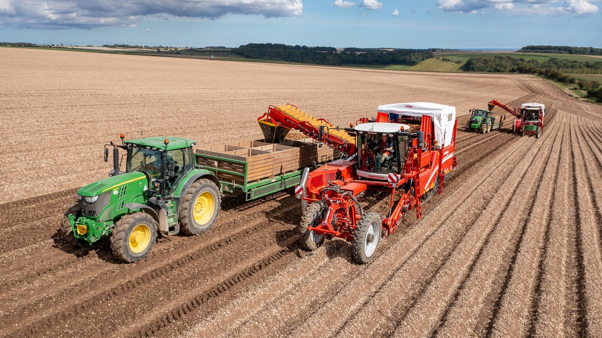 #GRIMMEworldwide
Two VARITRON 220s harvesting potatoes 🥔 in England 🇬🇧.
#GRIMME #GRIMMEGroup #VARITRON #potato #potatoes #agriculture #machinery #farming #harvest #potatoharvest