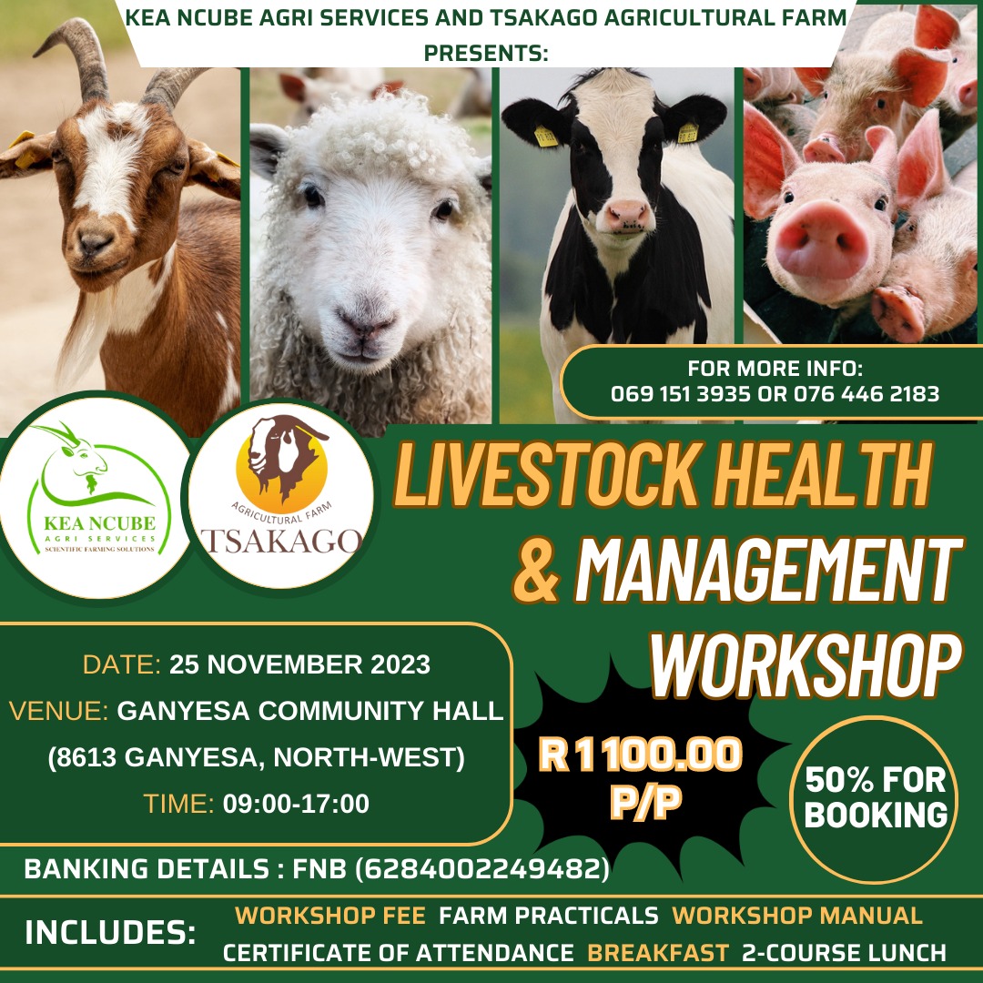WORKSHOP ANNOUNCEMENT‼️

The #Livestock Health & Management Workshop will be held on 25 Nov 2023, in Ganyesa (NW). We've worked so hard to improve this leg of our workshop, incorporating farm practicals to allow participants to gain more hands on experience.

#ScientificFarming