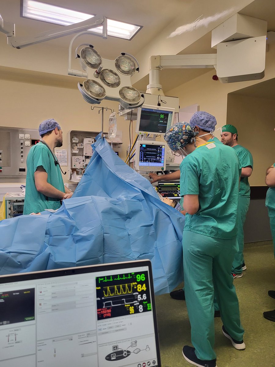 ShazCassidy's tweet photo. Perioperative staff @MUH working through an Unexpected Hypoxia & Bronchospasm. Systematic approach and positive outcomes. Great communication. #QRH #IPE #teamwork
@saoltagroup https://t.co/y4nrNQyhr8