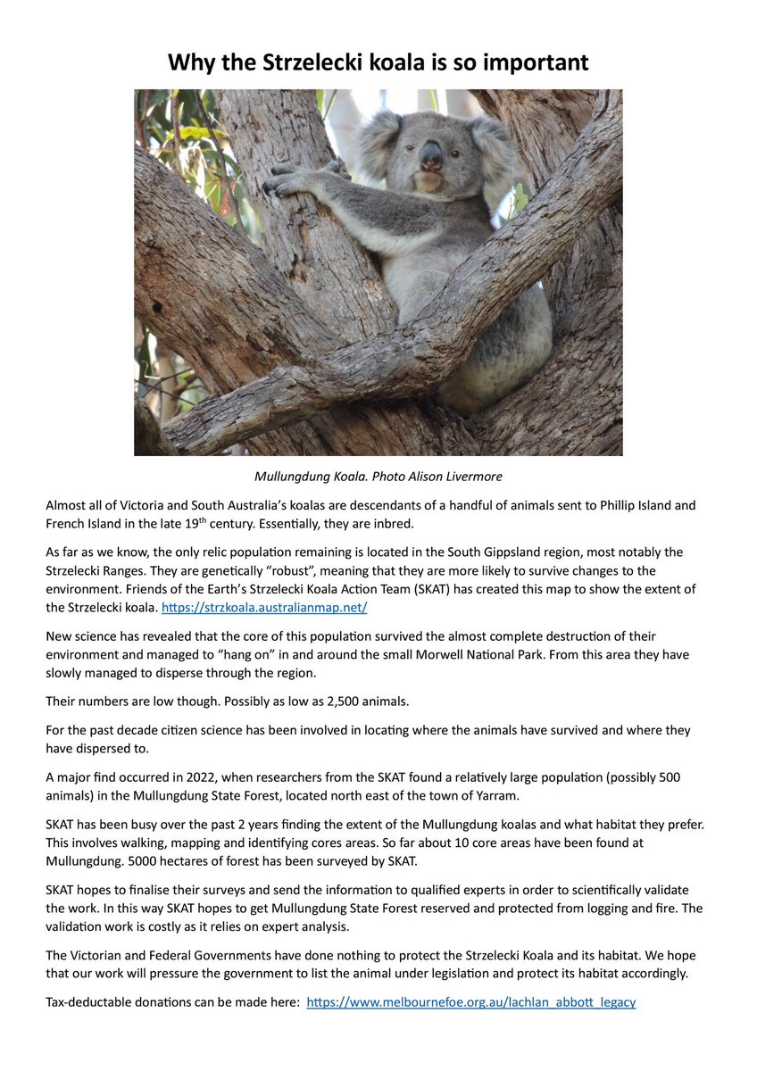 Andrew Wiik tweet media