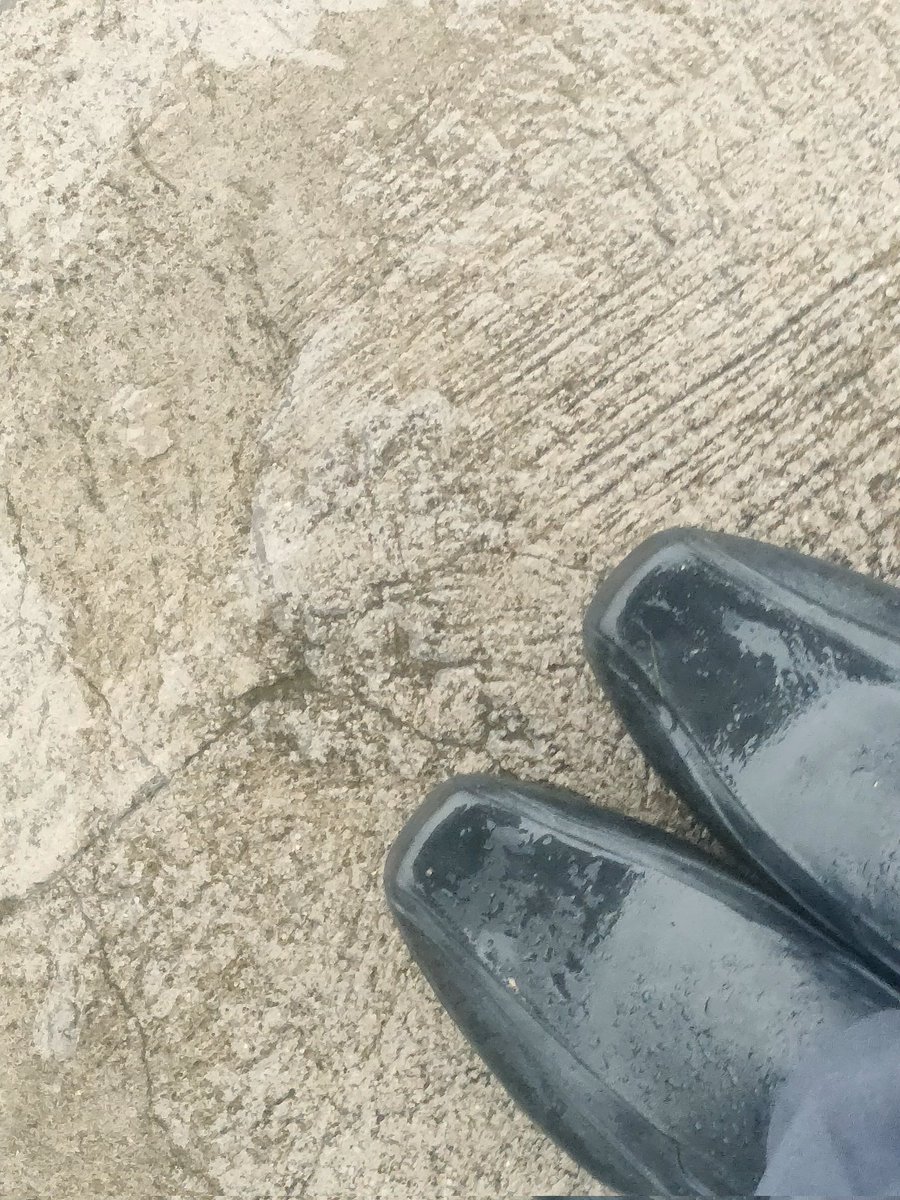 zweiology's tweet photo. SO LAKAS NG ULAN😰 https://t.co/saWKWJt9te