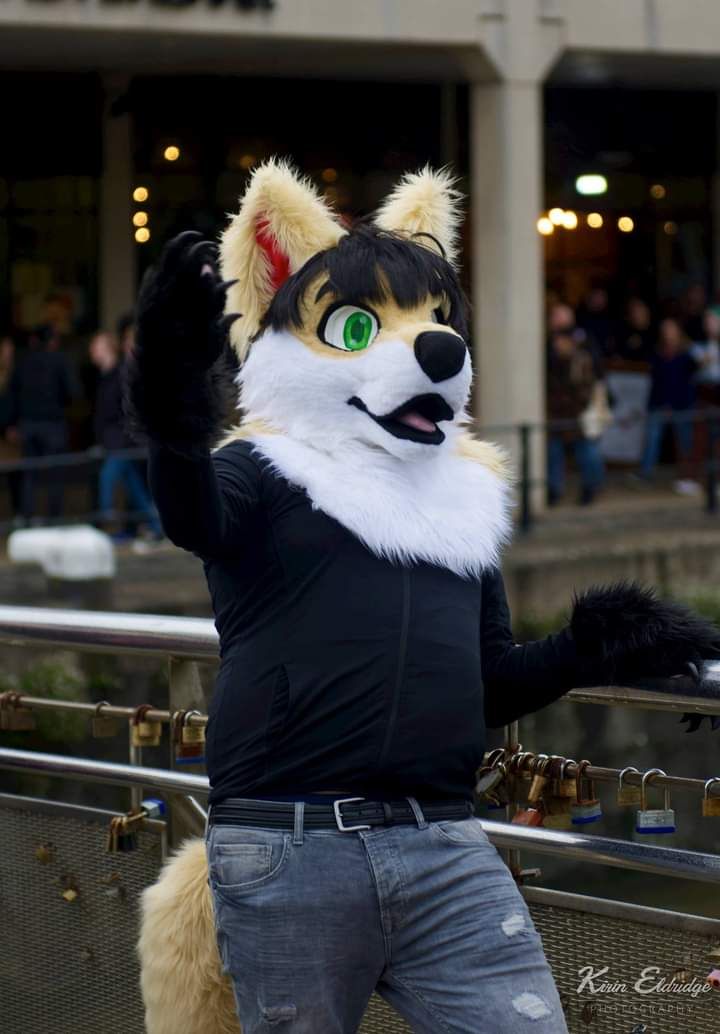 Happy fursuit Friday

#FursuitFriday #furrycommunity