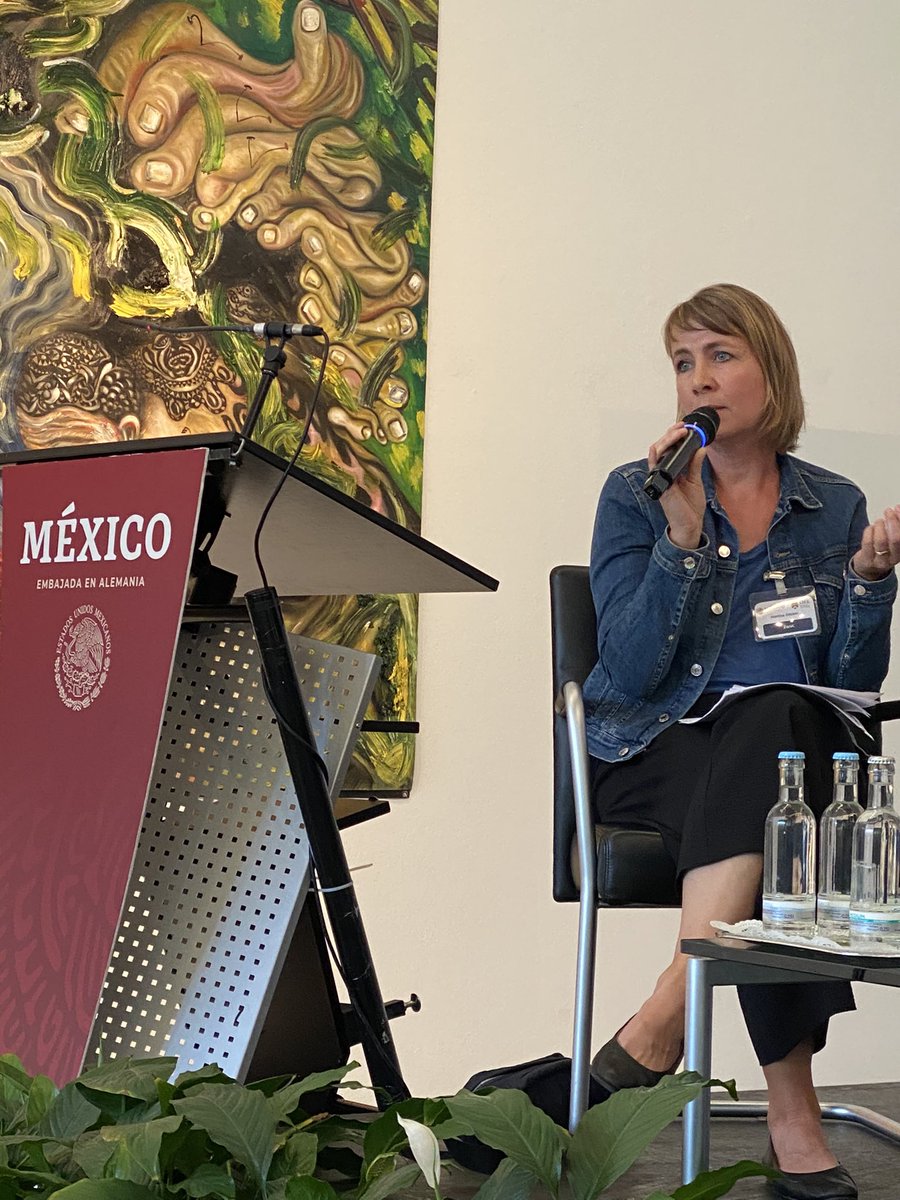 AleBa_Sa's tweet photo. Existen en 🇩🇪 organismos que apoyan niños en ambientes con violencia. Como #ZanK Maria Döcker dice: Leyes claras y acciones enérgicas para proteger integridad  salud física psicológica. En  Jornada Inf. en @EmbaMexAle https://t.co/SV03Z7SqLX