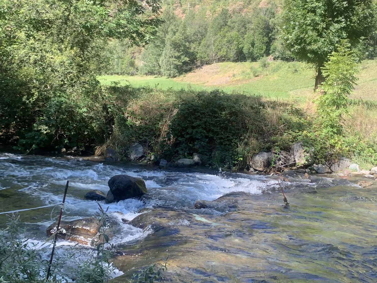 mdv70's tweet image. Veure aquesta aigua em fa posar la pell de gallina després de la greu sequera que estem patint … mira que l’he vist vegades, doncs ara m’hi quedo una estona veient com corre #Pallars #AltPirineu #VallFerrera