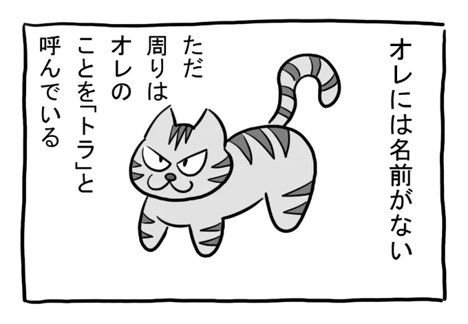 ねこまんがかいてみた301「のらねこ」

#ねこ #ネコ #猫 #白猫 #黒猫 #猫漫画 #4コマ #4コマ漫画 #四コマ漫画 #マンガ #漫画 #のらねこ #野良猫 #テロップ #漫画が読めるハッシュタグ 