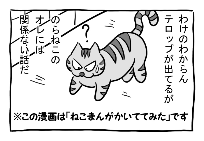 ねこまんがかいてみた301「のらねこ」

#ねこ #ネコ #猫 #白猫 #黒猫 #猫漫画 #4コマ #4コマ漫画 #四コマ漫画 #マンガ #漫画 #のらねこ #野良猫 #テロップ #漫画が読めるハッシュタグ 