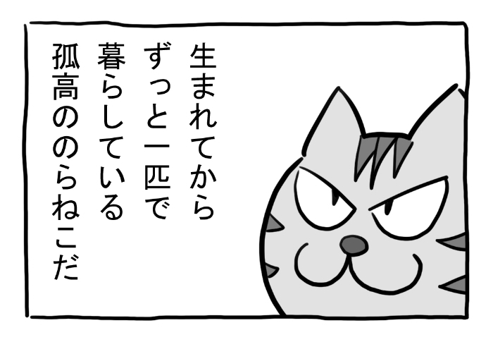 ねこまんがかいてみた301「のらねこ」

#ねこ #ネコ #猫 #白猫 #黒猫 #猫漫画 #4コマ #4コマ漫画 #四コマ漫画 #マンガ #漫画 #のらねこ #野良猫 #テロップ #漫画が読めるハッシュタグ 