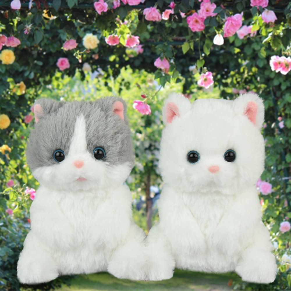 【ねこまる】 ≪オンラインショップ・新商品≫ ぽちゃねこまるSTまる（白） /ぽちゃ