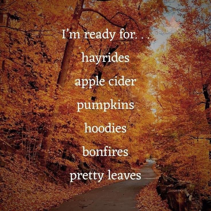 Antje19777's tweet photo. Hello September ☺️ https://t.co/ra0kjlWuI6