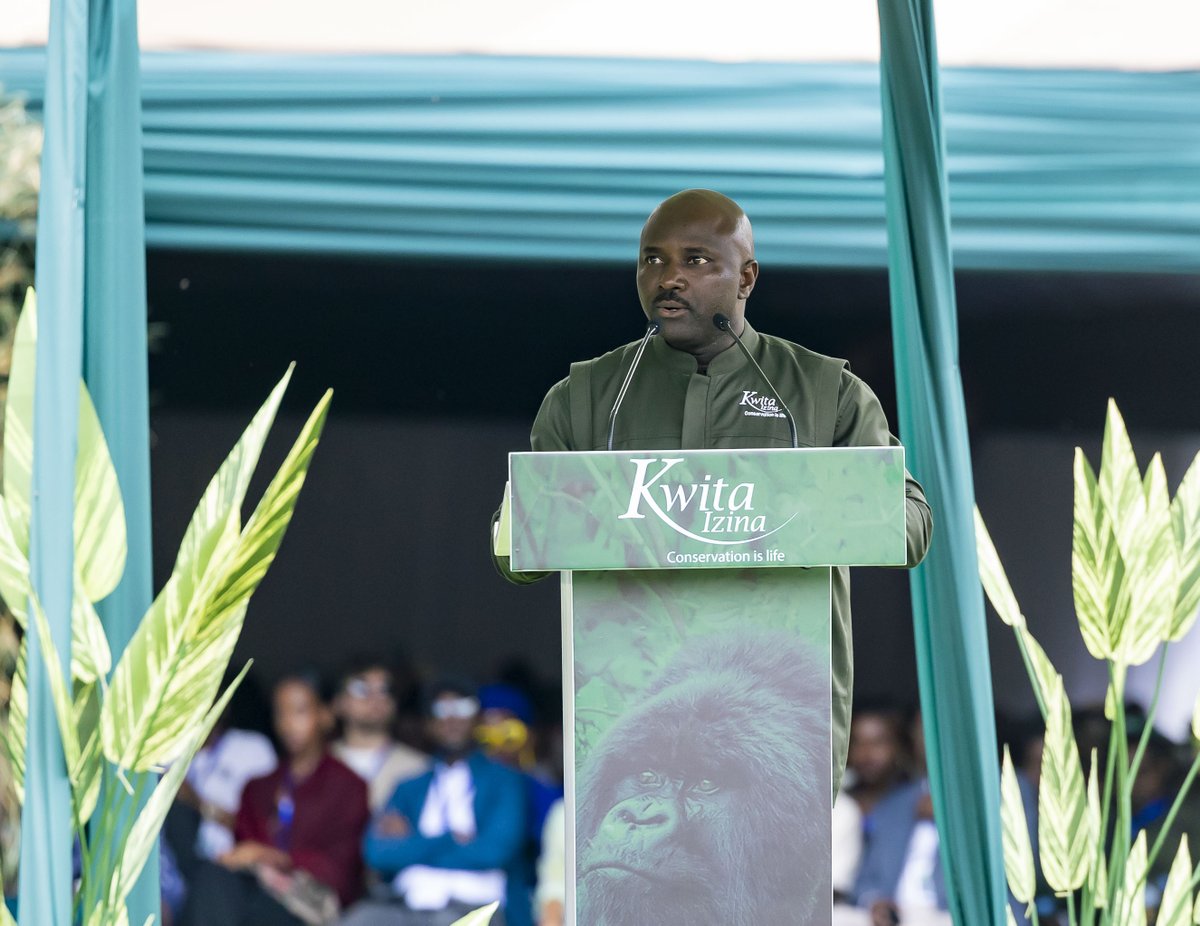 Kwitaizina's tweet photo. In his welcome remarks, the Governor of @RwandaNorth, @gahundemaurice, reflects on the significance of #KwitaIzina🦍and expresses gratitude to the communities residing near @VolcanoesPark, for their pivotal role in spearheading Rwanda's conservation initiatives.

#VisitRwanda 🇷🇼 https://t.co/bs4Svp9lfD