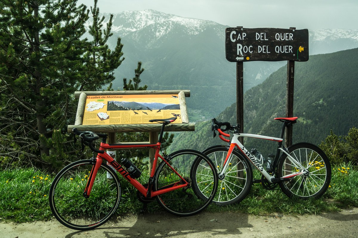 bikecation tweet media