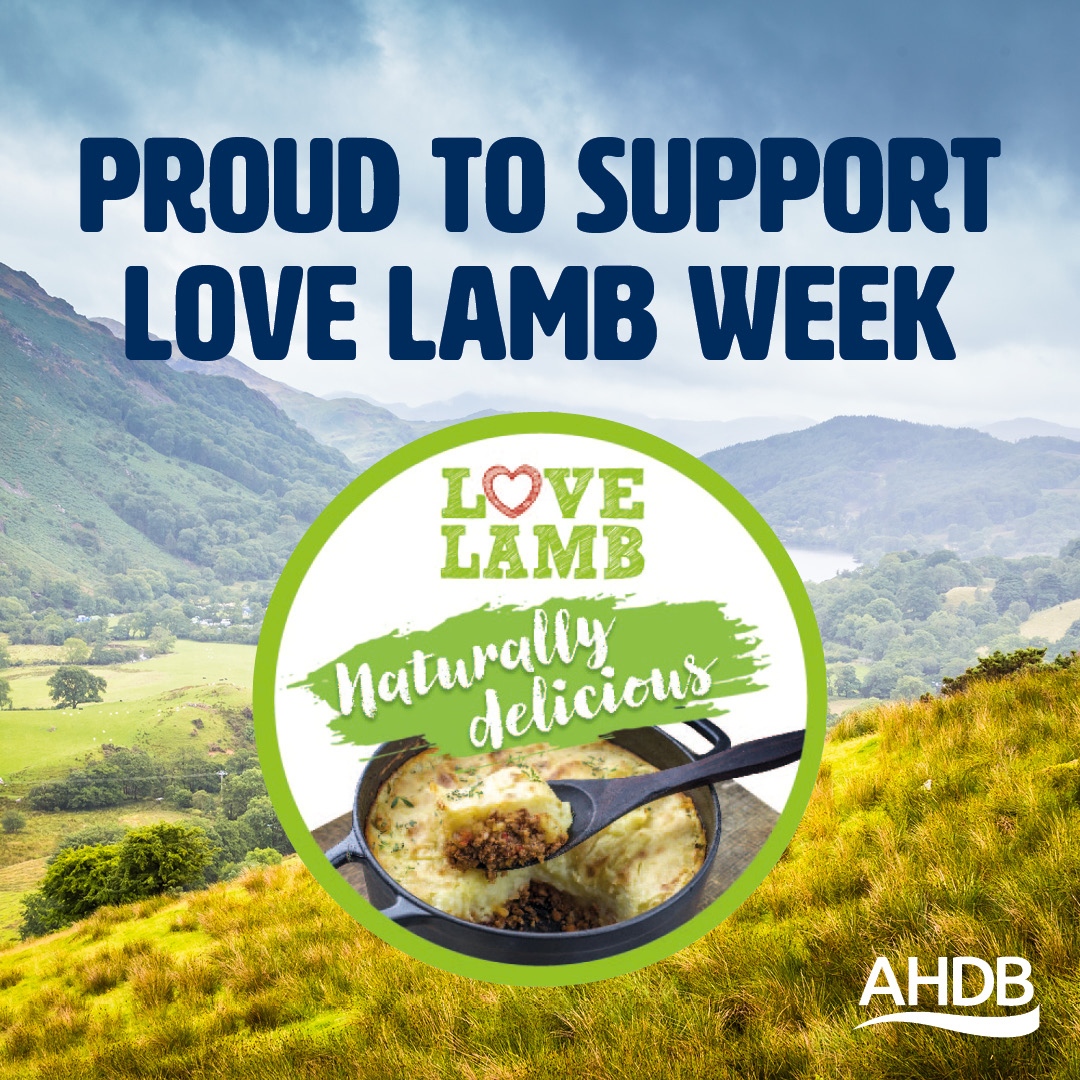 Today is the 1st day of #LoveLambWeek, a week-long celebration of naturally delicious UK lamb. 

We'll be bringing you a week of great content, including our sheep farmer lambassadors and their tasty take on the mighty Shepherd's Pie! 

Find out more here: ahdb.org.uk/lovelambweek