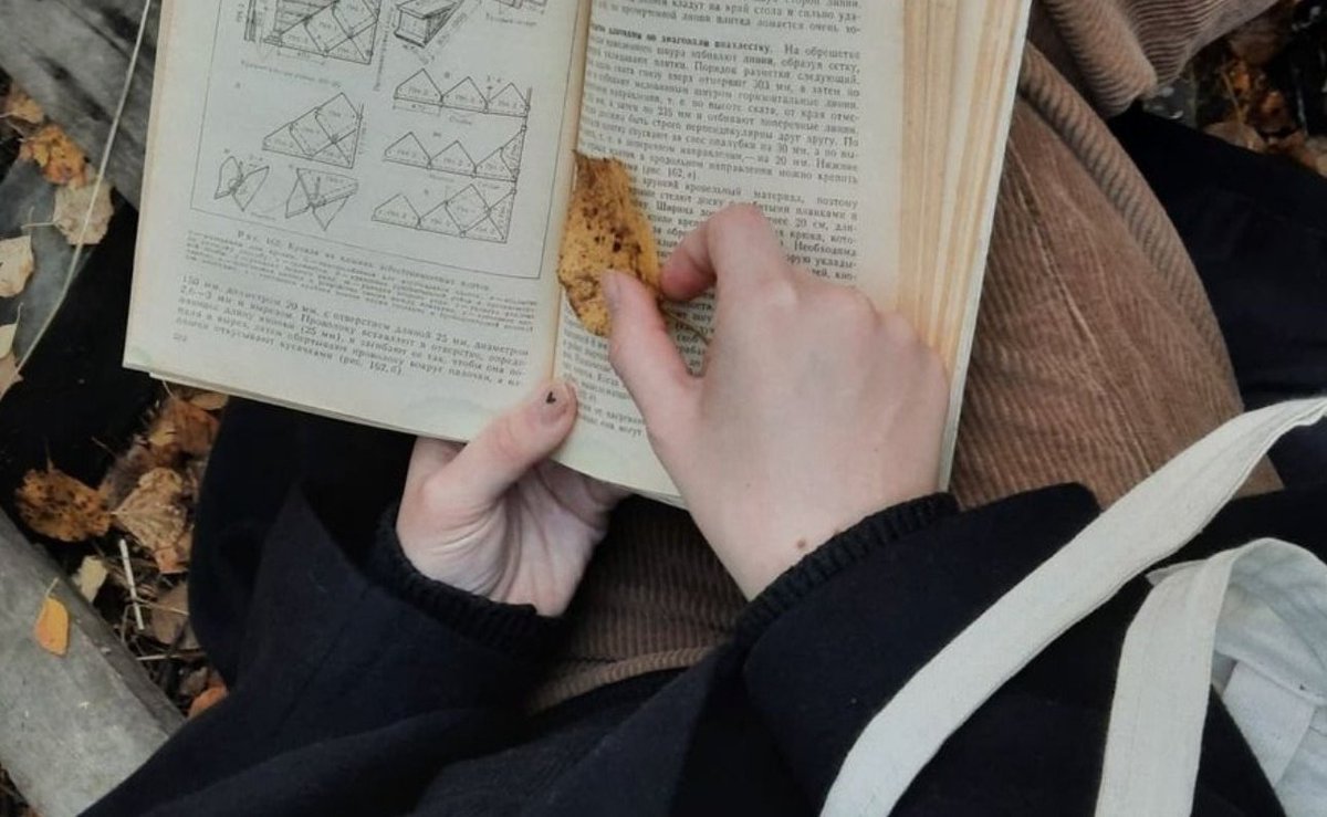 AcademiaDreams's tweet photo. “Books and doors are the same thing. You open them, and you go through into another world.”

 – Jeanette Winterson https://t.co/gZCnh86u1B