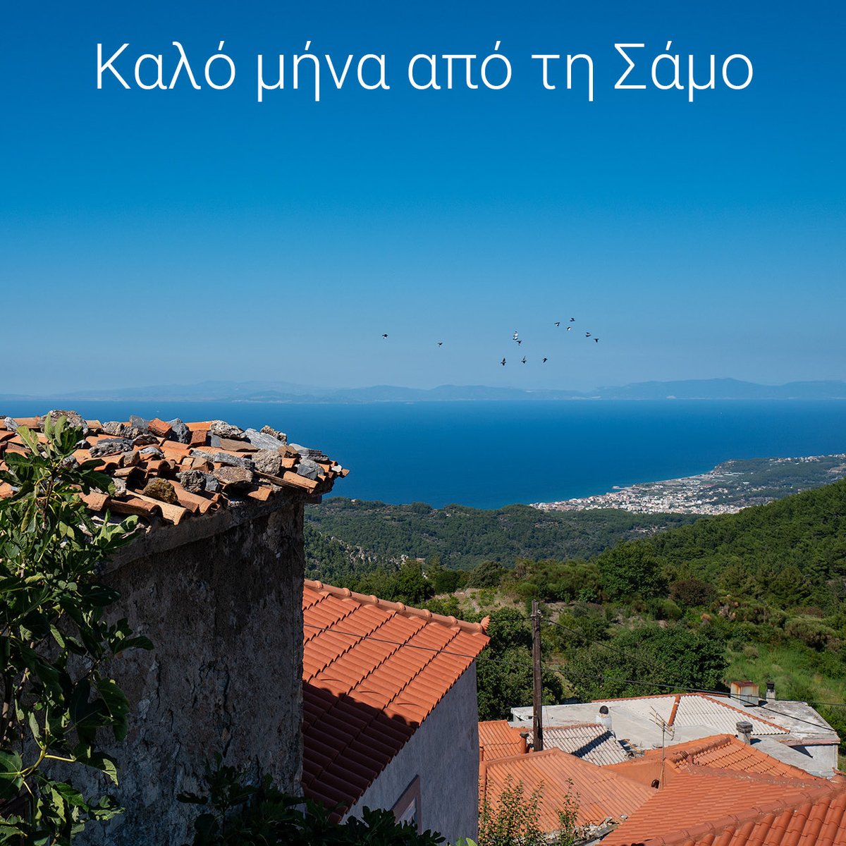 samos_de's tweet photo. Kαλό μήνα από τη Σάμο 
#samos https://t.co/tTBO8EZzNV