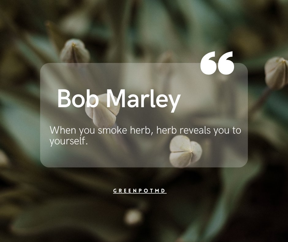 Visit our website to get more quotes like this : greenpotmd.com