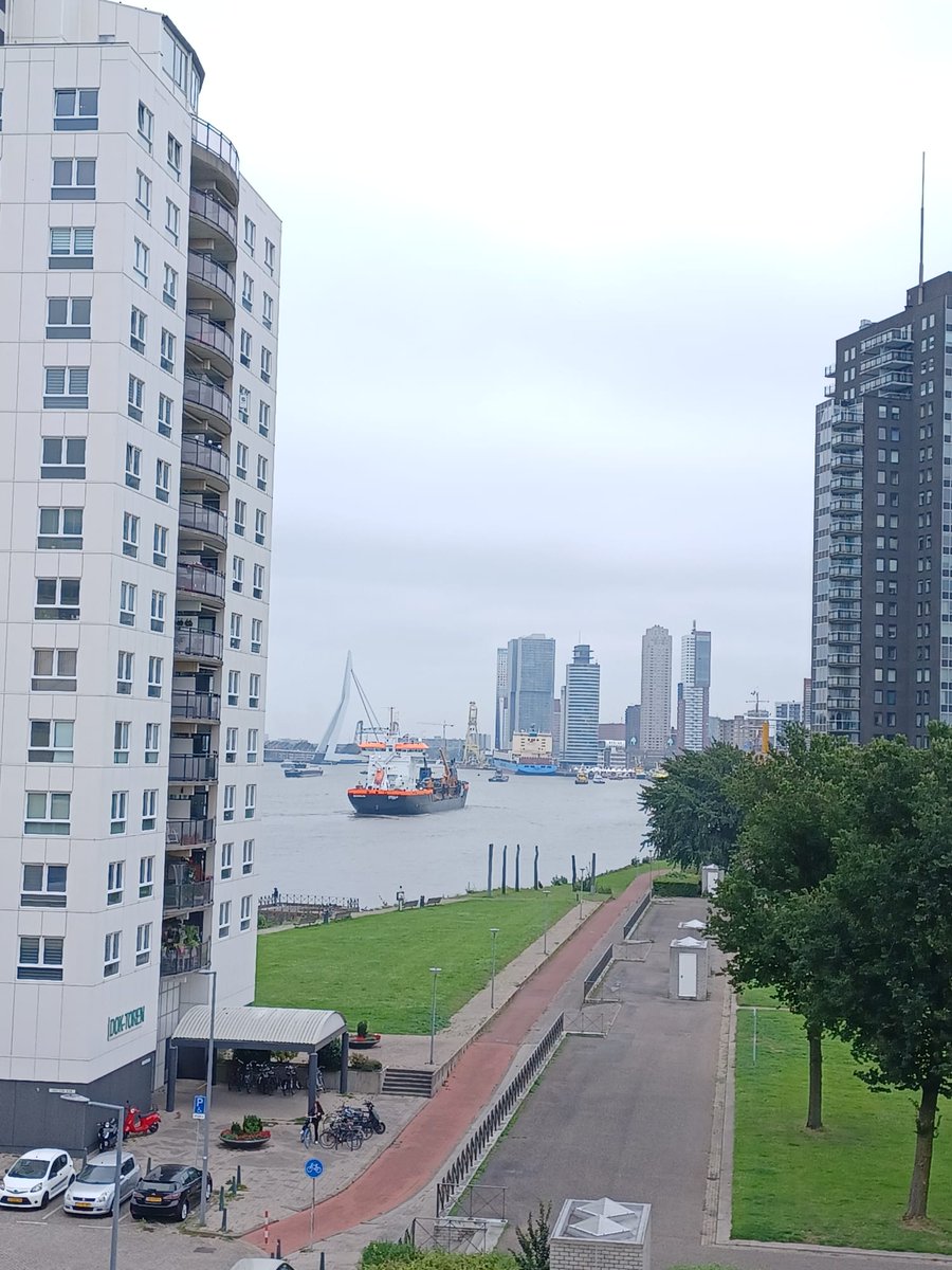 Alvast beetje #Havendagen checken tijdens het werk 🤪 #Rotterdam #Havenstad