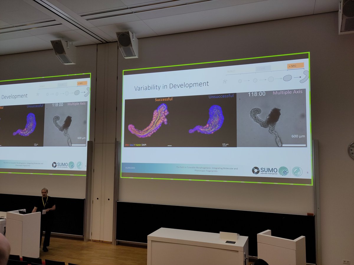 Helena Jambor is gone elsewhere. (@helenajambor) on Twitter photo A blast from my past, #PoLBIAS23 talk from <a href="/RyanSavill4/">Ryan Savill</a> about in vitro tailbud formation - all the way to somites!
PS <a href="/jvveenvliet/">jesse veenvliet @jesseveenvliet.bsky.social</a> I had no idea we are science 👨👧👦via Bernhard! A blast from my past, #PoLBIAS23 talk from <a href="/RyanSavill4/">Ryan Savill</a> about in vitro tailbud formation - all the way to somites!
PS <a href="/jvveenvliet/">jesse veenvliet @jesseveenvliet.bsky.social</a> I had no idea we are science 👨👧👦via Bernhard!