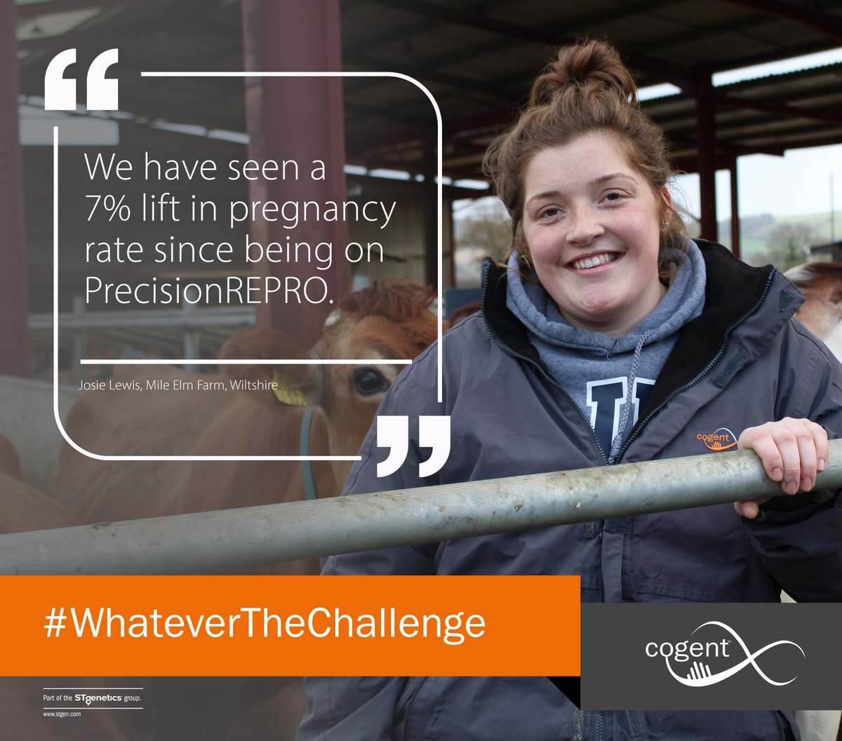 Josie Lewis and her family, Mile Elm Farm, Wiltshire, have seen a 7% lift in pregnancy rate since they have been working with our PrecisionREPRO service. To read the whole article visit cogentuk.com/news/driving-p… or contact your local Genetic Consultant. #WhateverTheChallenge