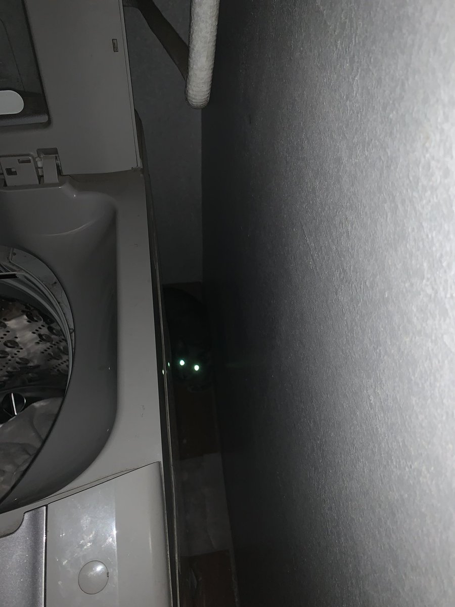 세탁기 뒤 빛나는 이것…
대체 뭘까요?🥺🥺