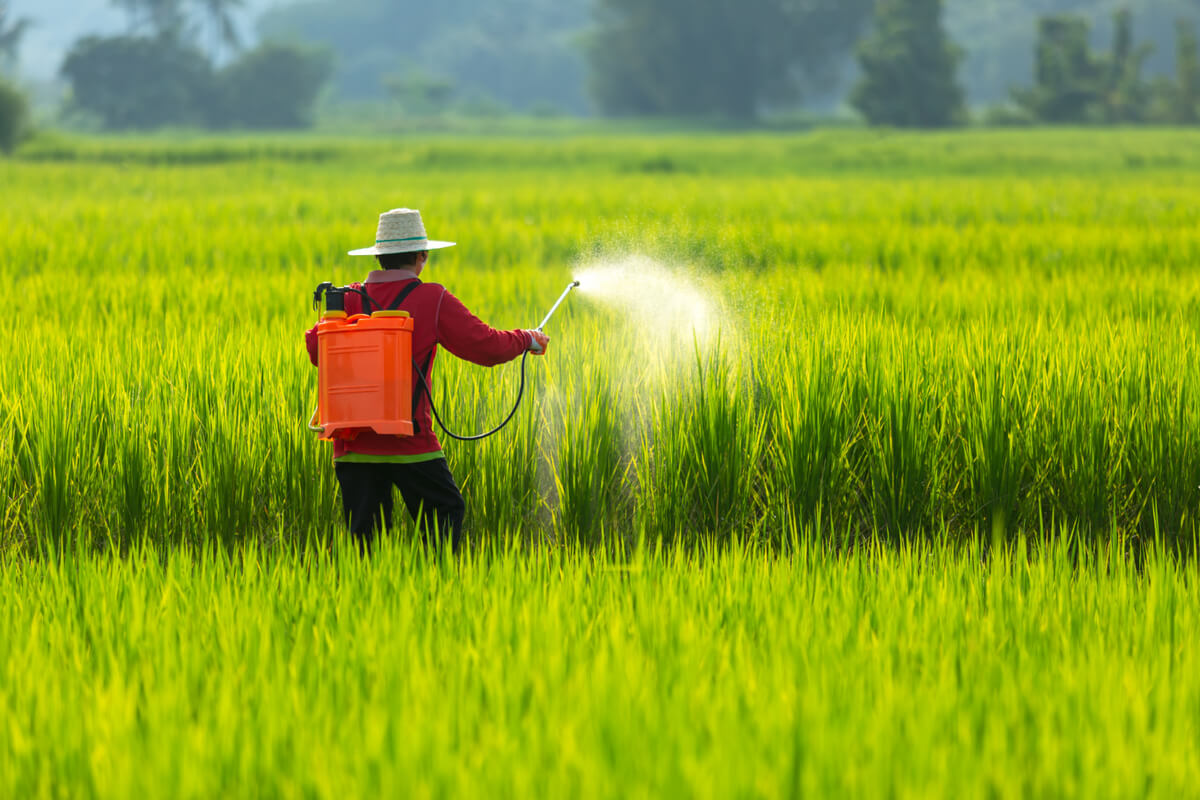 EitherView's tweet photo. Will nano urea help India's agriculture sector?

Over the decades, successive governments &amp; organisations have implemented a host of policies aimed at the agricultural sector. The goal has always been self-sustenance and improving farmer incomes. https://t.co/jaZtl6cD0u