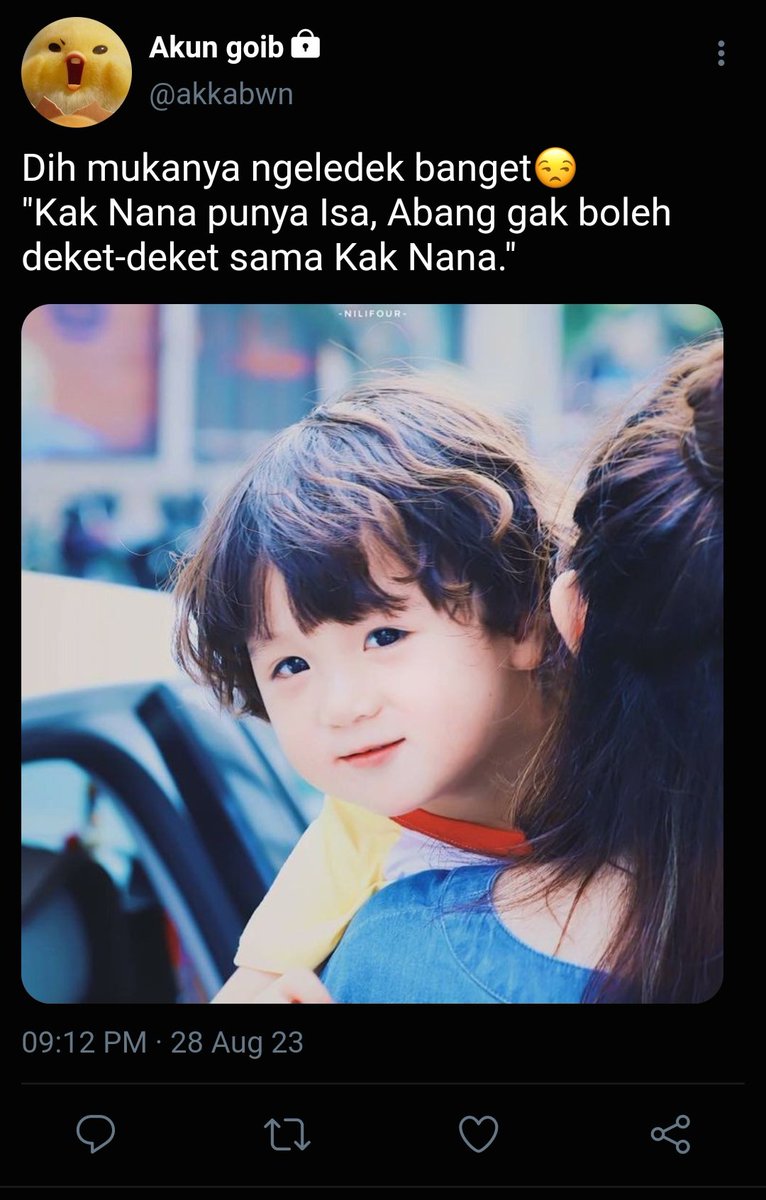 chan | baca bio guyss tweet media