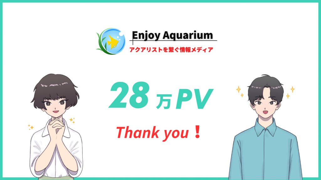 aquarium48ruby's tweet photo. 8月は28万PVでした🐓🔅´-

いつもご愛読いただき
誠にありがとうございます!

真面目な記事だけでなくネタ記事も今後作成していきます✍
近々コンテストを開催しますのでよろしくお願いします🌱

#アクアリウムを楽しもう https://t.co/Gr7kKybA4q