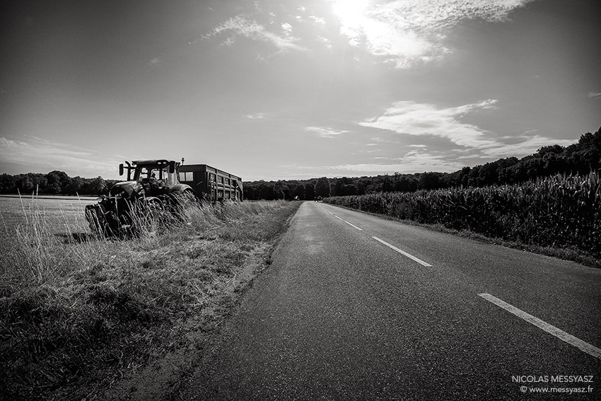 nicographie's tweet image. «Nerville» La PHOTO du Jour du 8 juillet 2023 #LaPhotoDuJour #JournalPhoto messyasz.fr/FDJ/32474 #nerville