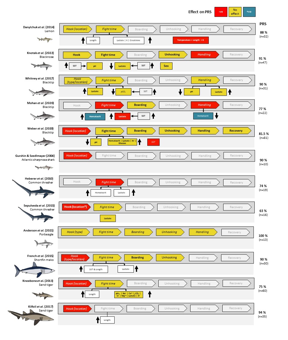 NEW RESEARCH  

Catch and release science on #sharks is limited to 12 studies for 8 species. We review the science and available best practice guidelines.  

Collaboration is key to ⬆️ sample sizes and maximise benefits to 🦈(and anglers).     

Paper:  doi.org/10.1016/j.fish…