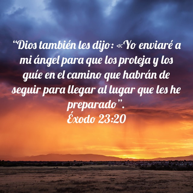 OmanaIvan's tweet photo. Esta. hermosa promesa hecha por el Señor a los israelitas nos debe sostener al comienzo de este mes. Dios ha prometido enviar ángeles para guardarnos en el camino de la vida y sus promesas son fieles y verdaderas. https://t.co/jC1SdmTh9D