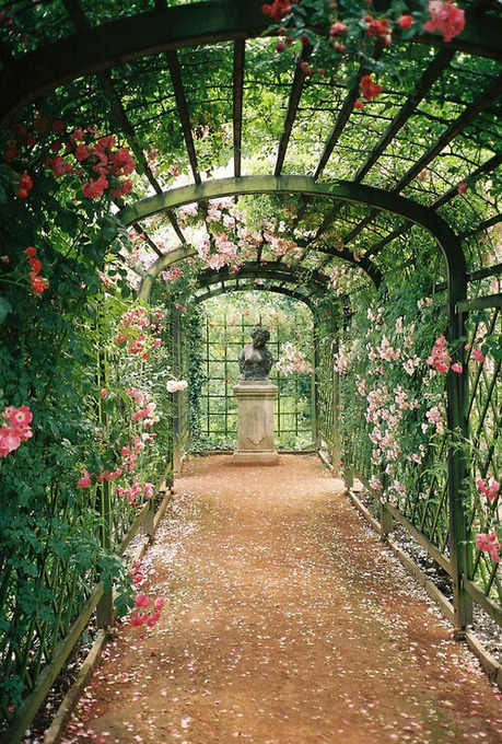 enchanted garden.