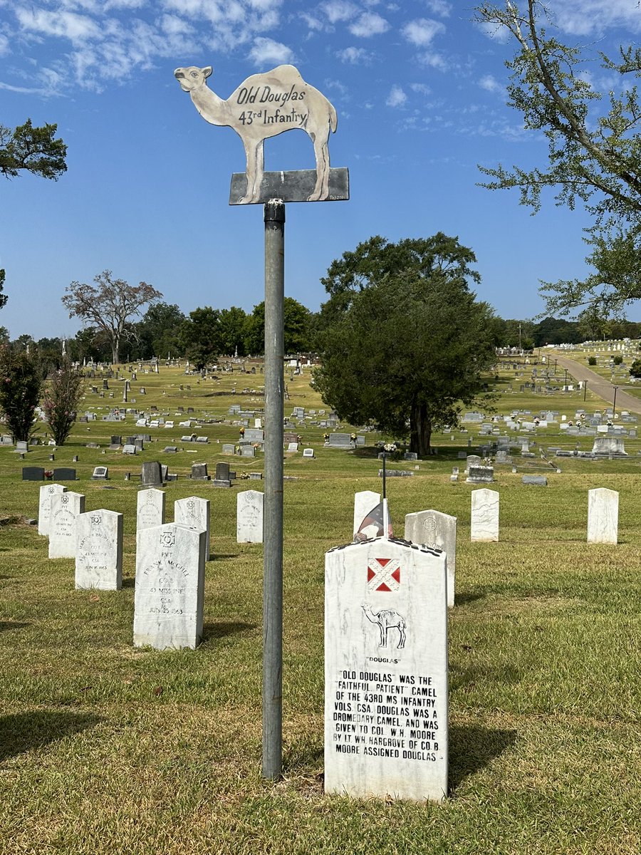 Dub__A's tweet photo. I’m in Vicksburg, Mississippi at the grave of Old Douglas, the Confederate Camel who was shot and killed by a Union sharpshooter during the siege of Vicksburg in June 1863 https://t.co/xML756vTgi