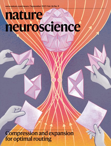 NatureNeuro's tweet image. Our September issue is now live!

nature.com/neuro/volumes/…